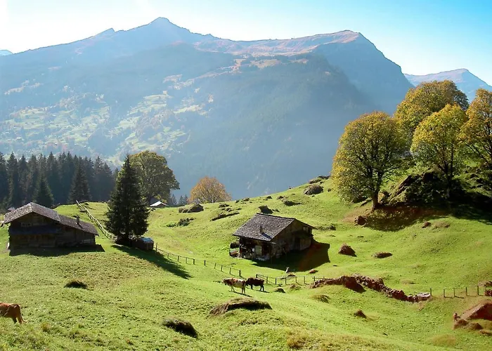 Abendrot Apartments-14 By Interhome דירה גרינדלוולד